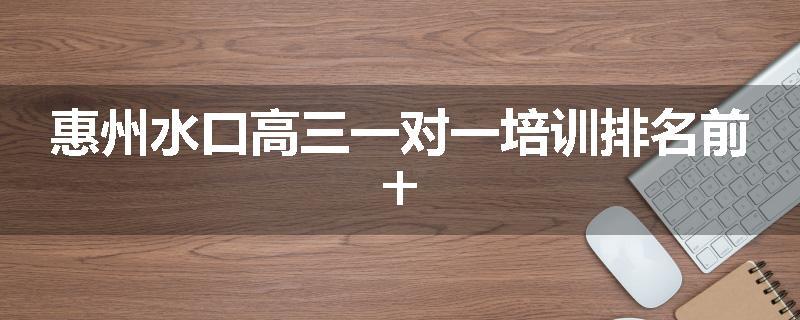 惠州水口高三一对一培训排名前十