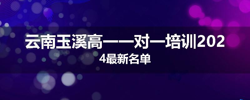 云南玉溪高一一对一培训2024最新名单
