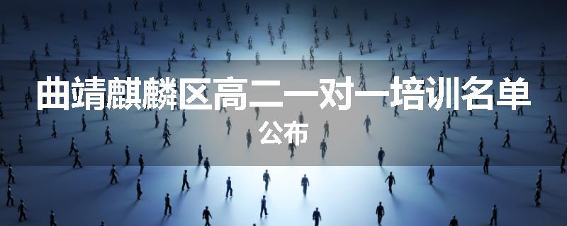 曲靖麒麟区高二一对一培训名单公布