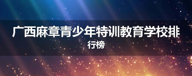广西麻章青少年特训教育学校排行榜