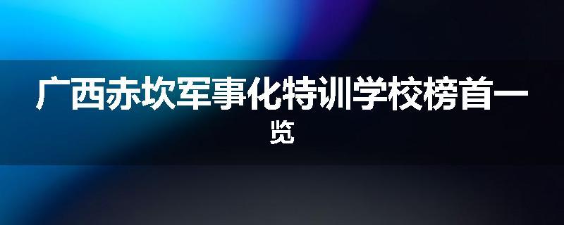 广西赤坎军事化特训学校榜首一览