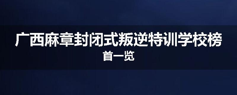 广西麻章封闭式叛逆特训学校榜首一览