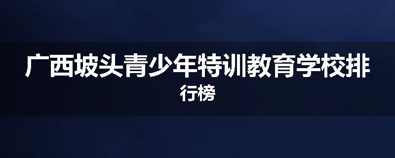 广西坡头青少年特训教育学校排行榜