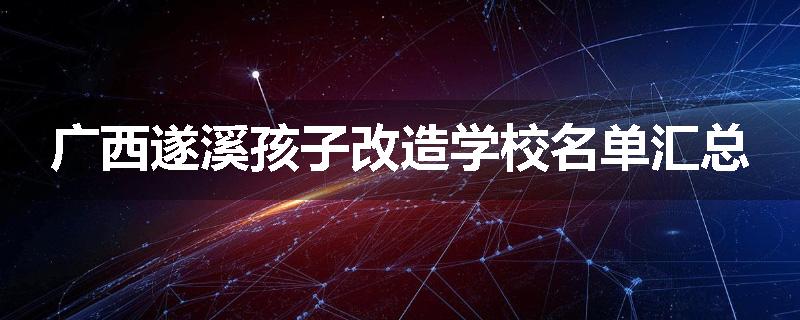 广西遂溪孩子改造学校名单汇总