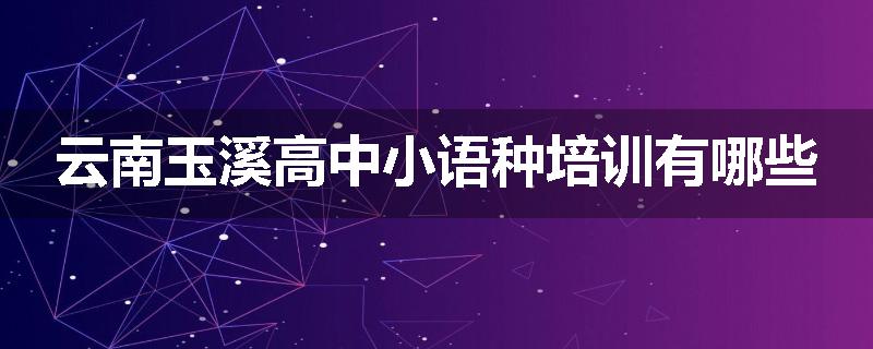 云南玉溪高中小语种培训有哪些