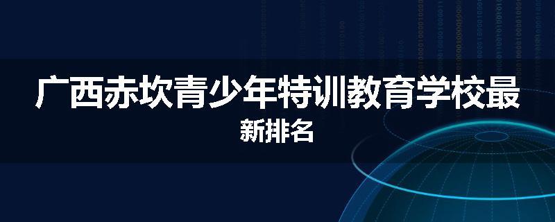 广西赤坎青少年特训教育学校最新排名