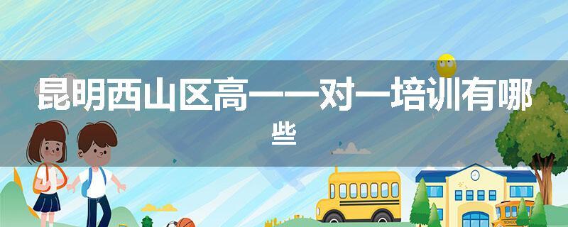 昆明西山区高一一对一培训有哪些