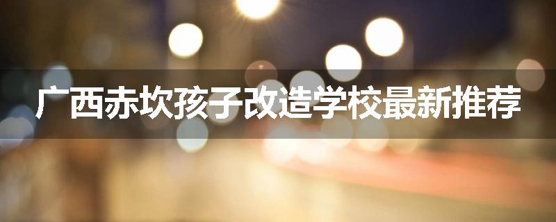 广西赤坎孩子改造学校最新推荐