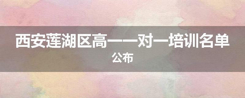 西安莲湖区高一一对一培训名单公布