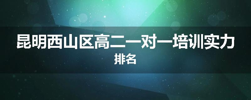 昆明西山区高二一对一培训实力排名