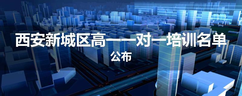 西安新城区高一一对一培训名单公布