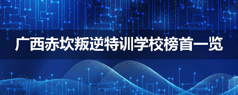 广西赤坎叛逆特训学校榜首一览
