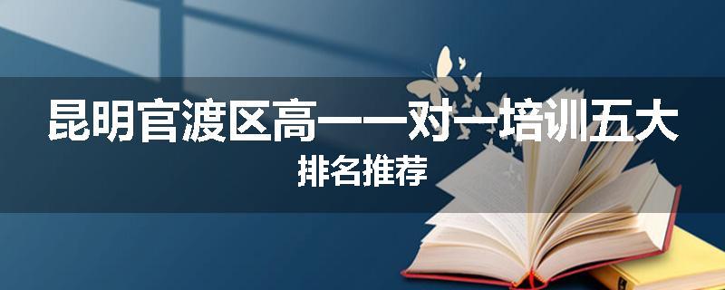 昆明官渡区高一一对一培训五大排名推荐