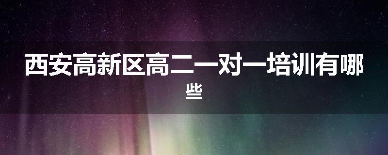 西安高新区高二一对一培训有哪些
