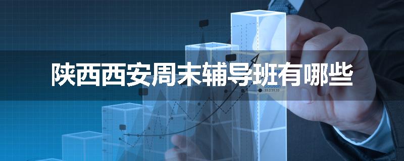 陕西西安周末辅导班有哪些