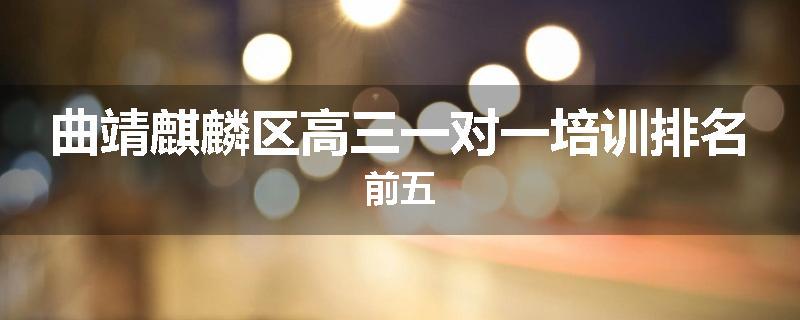 曲靖麒麟区高三一对一培训排名前五