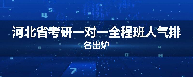 河北省考研一对一全程班人气排名出炉