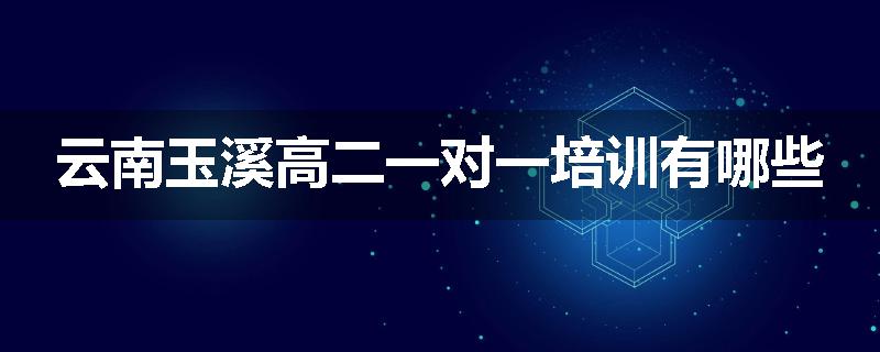 云南玉溪高二一对一培训有哪些