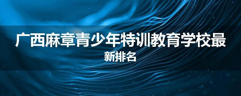 广西麻章青少年特训教育学校最新排名