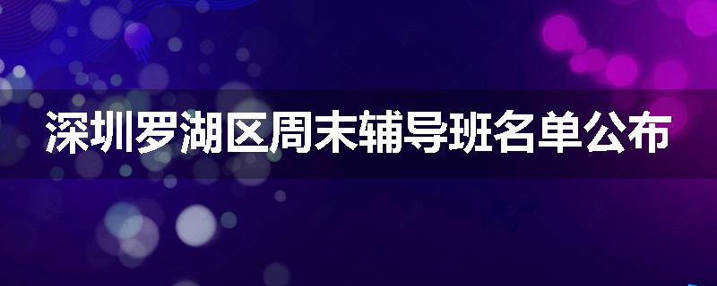 深圳罗湖区周末辅导班名单公布