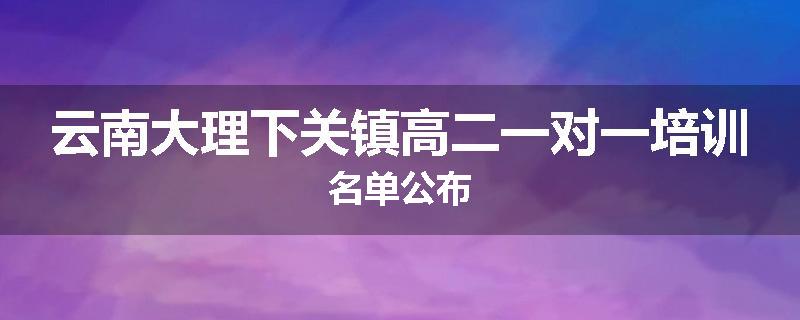 云南大理下关镇高二一对一培训名单公布
