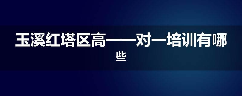 玉溪红塔区高一一对一培训有哪些