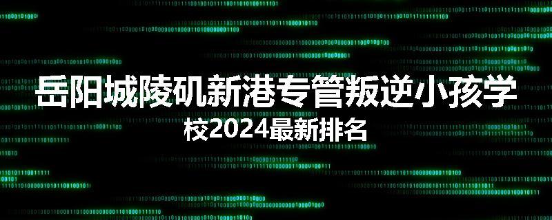 岳阳城陵矶新港专管叛逆小孩学校2024最新排名