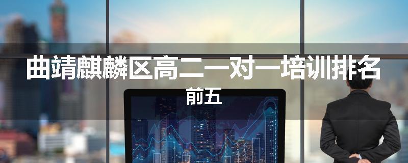 曲靖麒麟区高二一对一培训排名前五