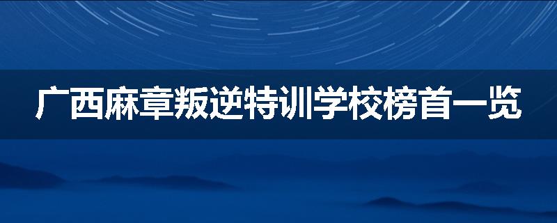 广西麻章叛逆特训学校榜首一览