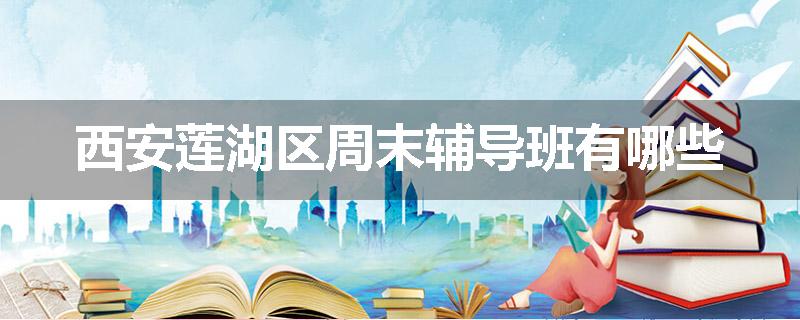 西安莲湖区周末辅导班有哪些