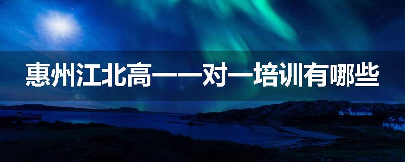 惠州江北高一一对一培训有哪些