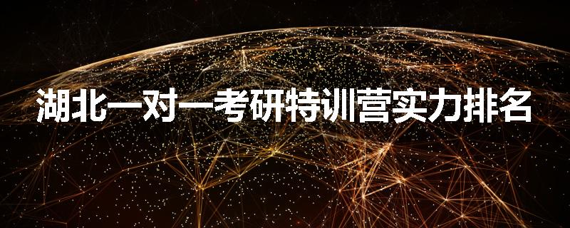 湖北一对一考研特训营实力排名