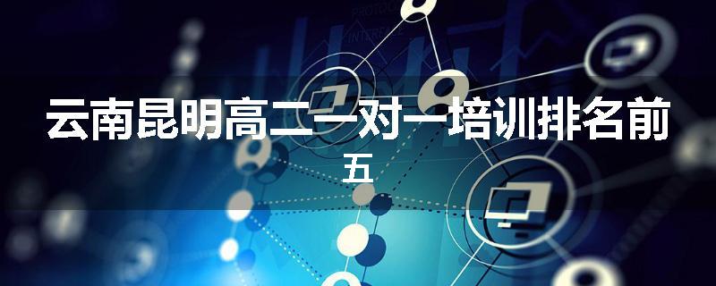 云南昆明高二一对一培训排名前五