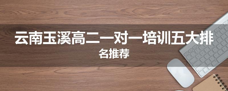 云南玉溪高二一对一培训五大排名推荐
