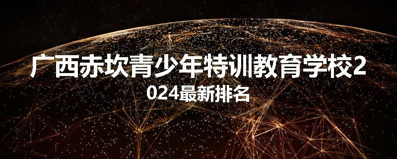 广西赤坎青少年特训教育学校2024最新排名