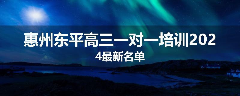 惠州东平高三一对一培训2024最新名单