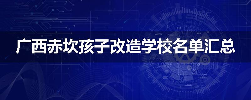 广西赤坎孩子改造学校名单汇总