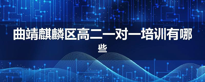 曲靖麒麟区高二一对一培训有哪些