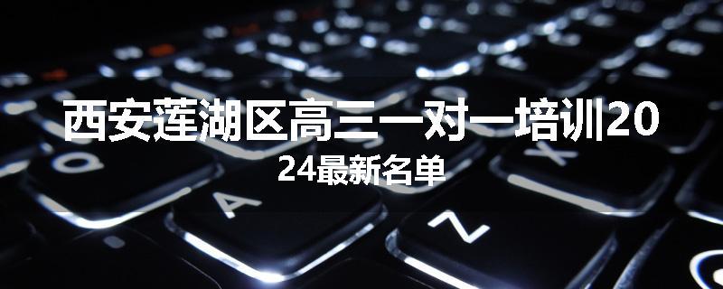 西安莲湖区高三一对一培训2024最新名单