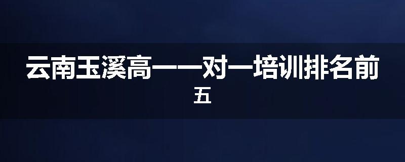 云南玉溪高一一对一培训排名前五