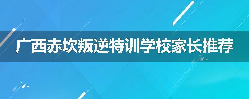 广西赤坎叛逆特训学校家长推荐
