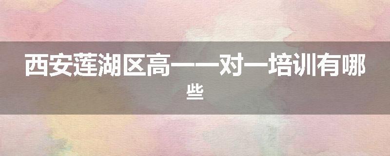 西安莲湖区高一一对一培训有哪些