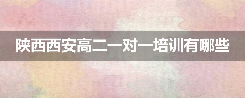 陕西西安高二一对一培训有哪些