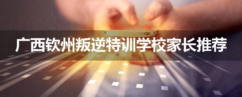 广西钦州叛逆特训学校家长推荐
