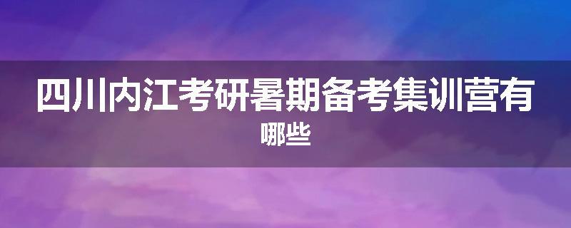 四川内江考研暑期备考集训营有哪些