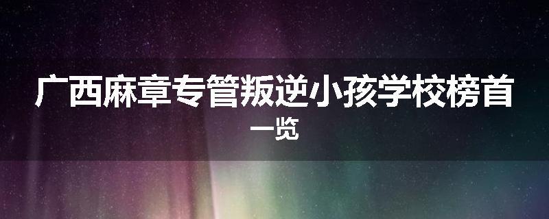 广西麻章专管叛逆小孩学校榜首一览
