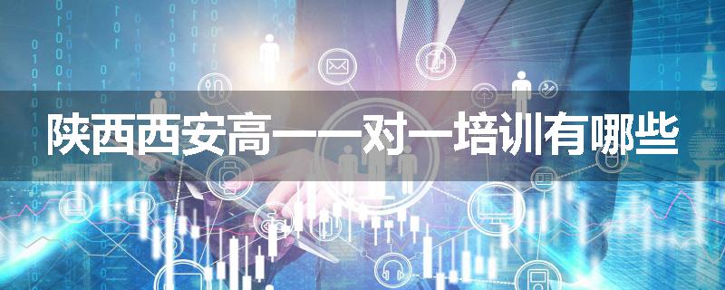 陕西西安高一一对一培训有哪些