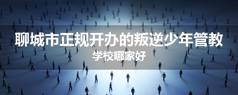 聊城市正规开办的叛逆少年管教学校哪家好