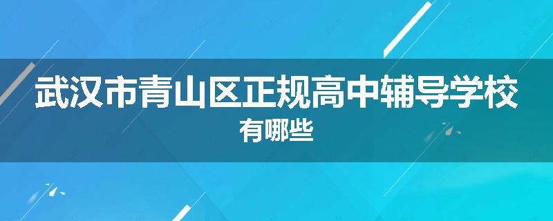 武汉市青山区正规高中辅导学校有哪些