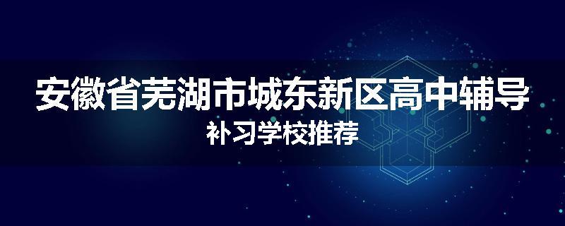 安徽省芜湖市城东新区高中辅导补习学校推荐